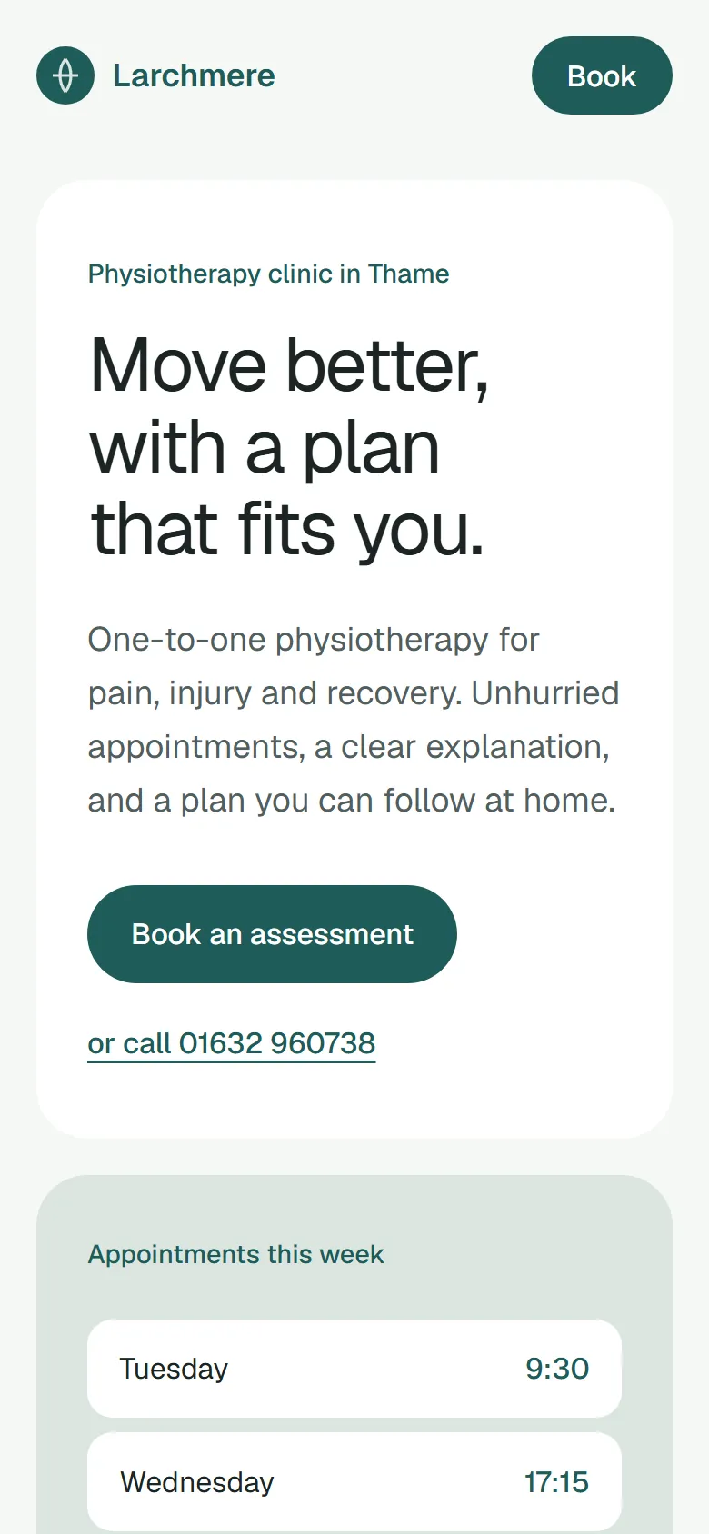 The Larchmere Physiotherapy homepage on a phone.